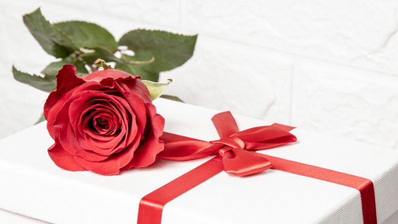 10 Valentine’s Day gifts for her: Presents bound to make the day special (Under $25)